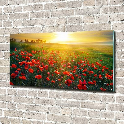 Impresión en cristal con acabado brillante horizontal Campo de amapolas