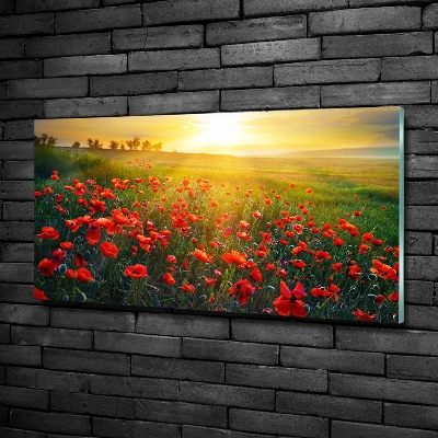 Impresión en cristal con acabado brillante horizontal Campo de amapolas