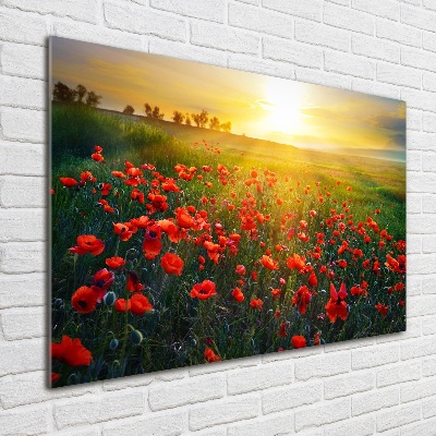 Impresión en cristal con acabado brillante horizontal Campo de amapolas