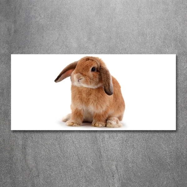 Cuadro decorativo de vidrio para salón horizontal conejo rojo