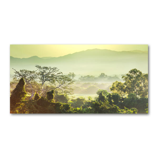 Foto en cristal de alta calidad con impresión uv horizontal Selva