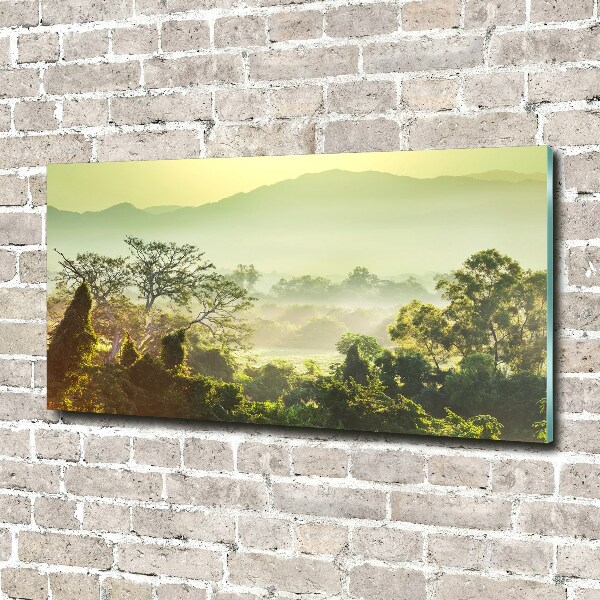 Foto en cristal de alta calidad con impresión uv horizontal Selva