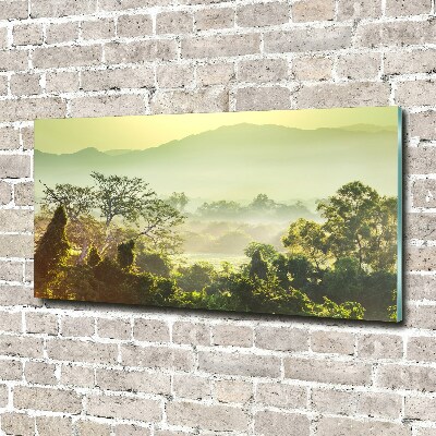 Foto en cristal de alta calidad con impresión uv horizontal Selva
