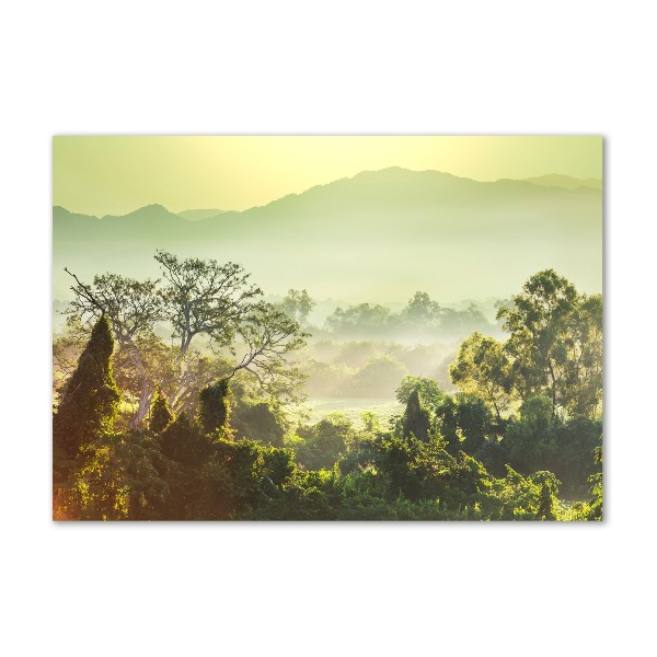 Foto en cristal de alta calidad con impresión uv horizontal Selva