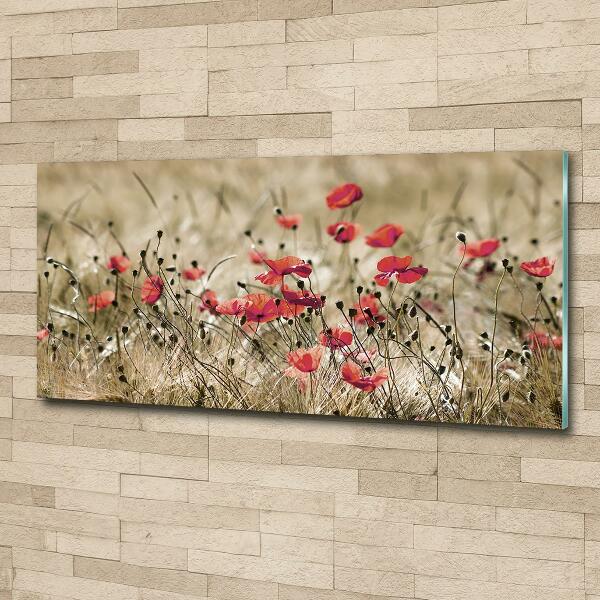 Foto en cristal de alta calidad con impresión uv horizontal Amapolas