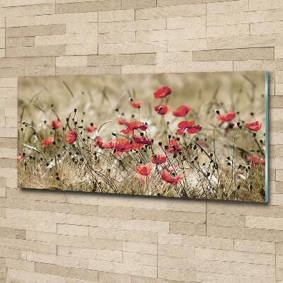 Foto en cristal de alta calidad con impresión uv horizontal Amapolas