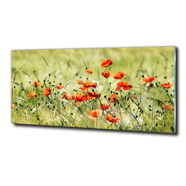 Cuadro decorativo de vidrio para salón horizontal Amapolas