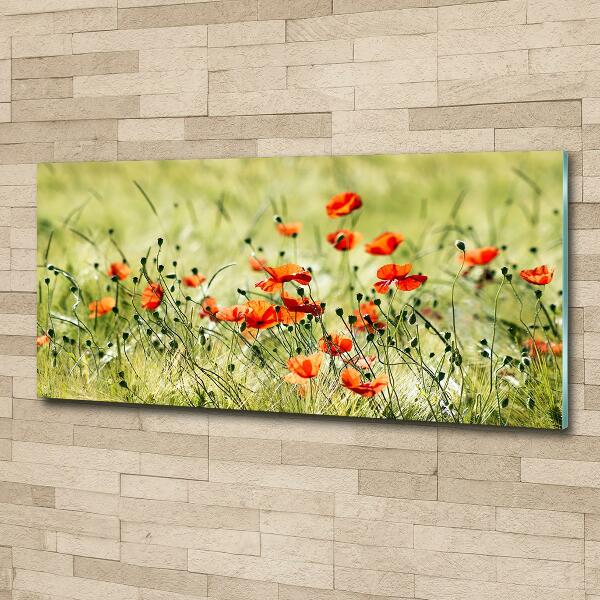 Cuadro decorativo de vidrio para salón horizontal Amapolas