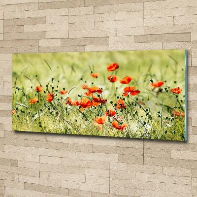 Cuadro decorativo de vidrio para salón horizontal Amapolas