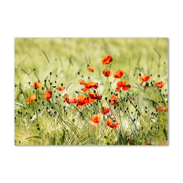 Cuadro decorativo de vidrio para salón horizontal Amapolas