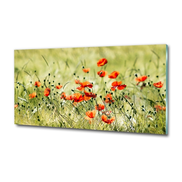 Cuadro decorativo de vidrio para salón horizontal Amapolas