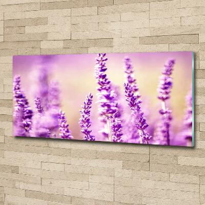 Foto en cristal de alta calidad con impresión uv horizontal Lavanda