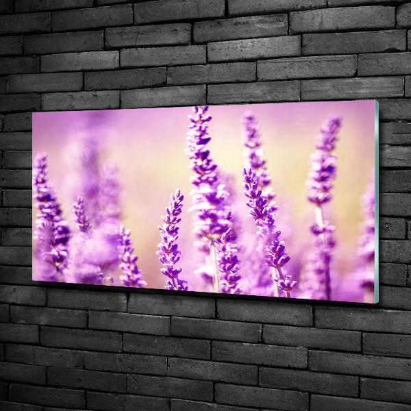 Foto en cristal de alta calidad con impresión uv horizontal Lavanda