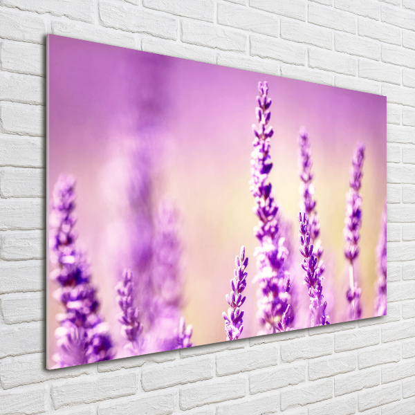 Foto en cristal de alta calidad con impresión uv horizontal Lavanda