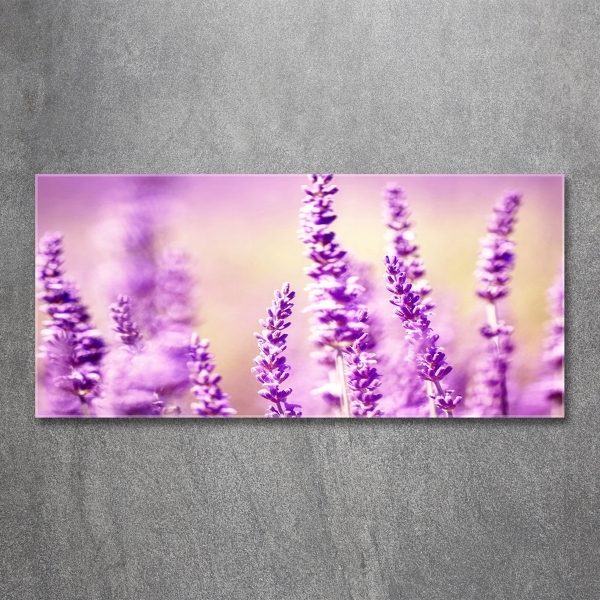 Foto en cristal de alta calidad con impresión uv horizontal Lavanda
