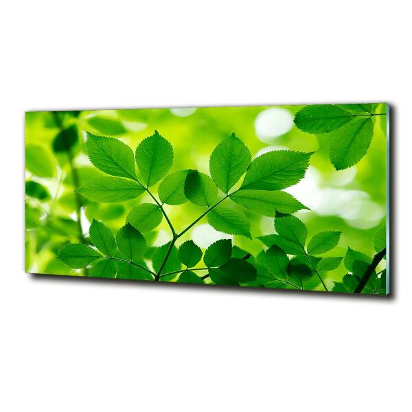 Cuadro decorativo de vidrio para salón horizontal hojas verdes