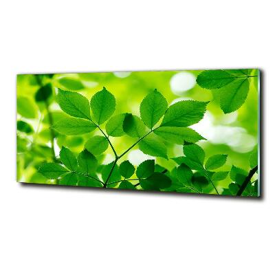 Cuadro decorativo de vidrio para salón horizontal hojas verdes