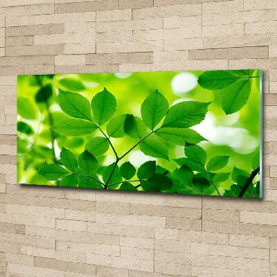 Cuadro decorativo de vidrio para salón horizontal hojas verdes