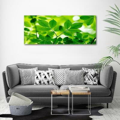 Cuadro decorativo de vidrio para salón horizontal hojas verdes