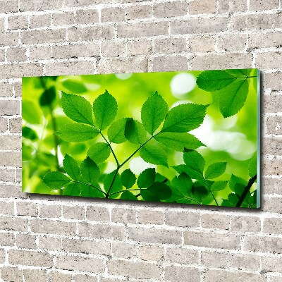 Cuadro decorativo de vidrio para salón horizontal hojas verdes