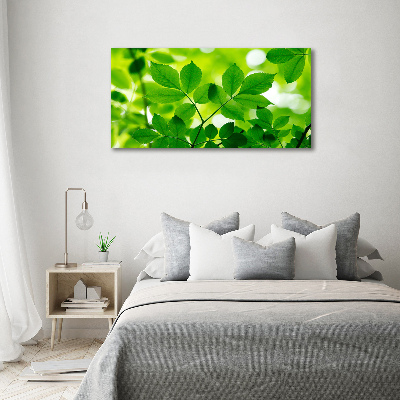 Cuadro decorativo de vidrio para salón horizontal hojas verdes
