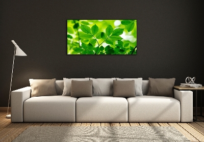 Cuadro decorativo de vidrio para salón horizontal hojas verdes