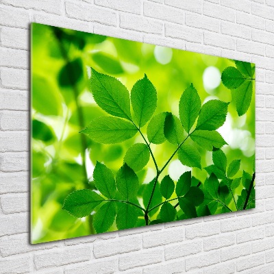 Cuadro decorativo de vidrio para salón horizontal hojas verdes