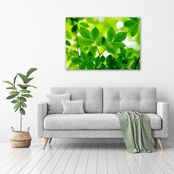 Cuadro decorativo de vidrio para salón horizontal hojas verdes