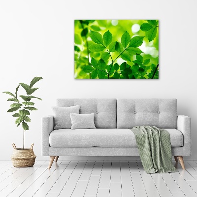 Cuadro decorativo de vidrio para salón horizontal hojas verdes