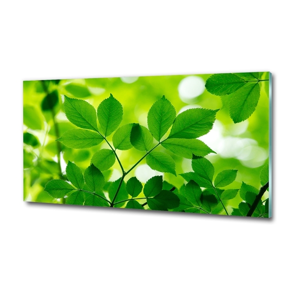 Cuadro decorativo de vidrio para salón horizontal hojas verdes
