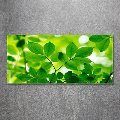 Cuadro decorativo de vidrio para salón horizontal hojas verdes