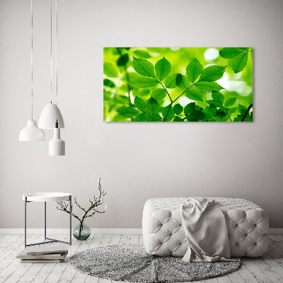 Cuadro decorativo de vidrio para salón horizontal hojas verdes