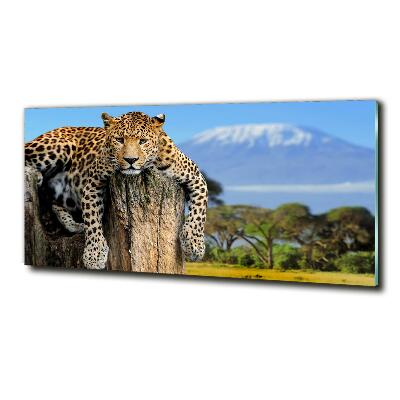 Cuadro decorativo de vidrio para salón horizontal Leopardo en un tocón de árbol
