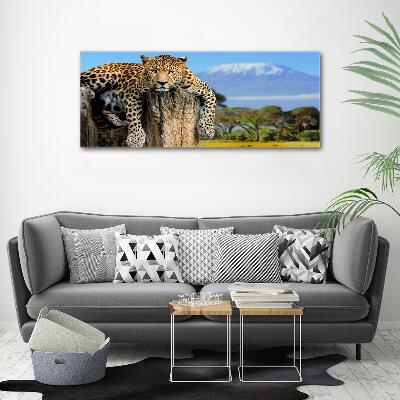 Cuadro decorativo de vidrio para salón horizontal Leopardo en un tocón de árbol