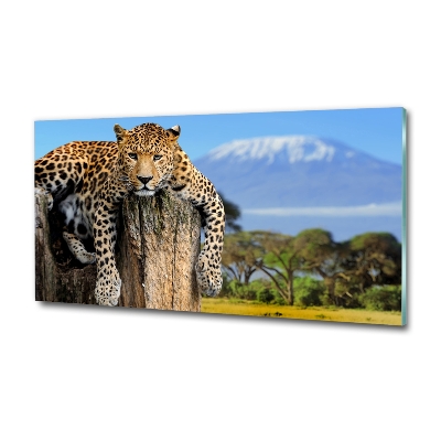 Cuadro decorativo de vidrio para salón horizontal Leopardo en un tocón de árbol