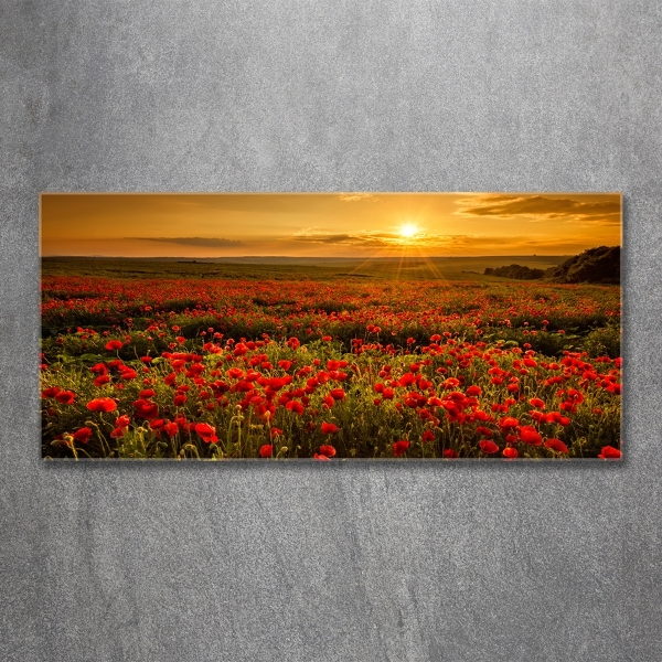 Impresión en cristal con acabado brillante horizontal Campo de amapolas