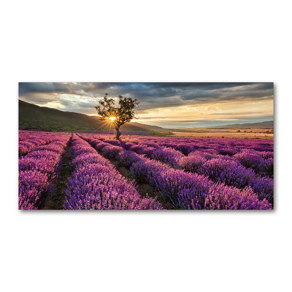 Cuadro decorativo de vidrio para salón horizontal campo de lavanda