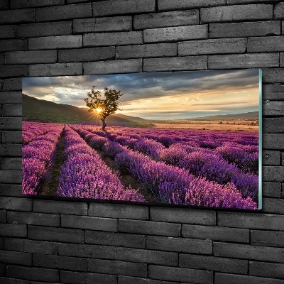 Cuadro decorativo de vidrio para salón horizontal campo de lavanda