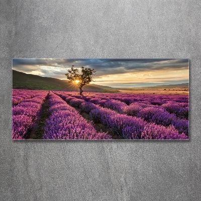 Cuadro decorativo de vidrio para salón horizontal campo de lavanda