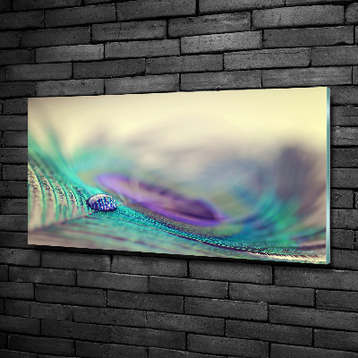 Cuadro decorativo de vidrio para salón horizontal Una gota sobre una pluma