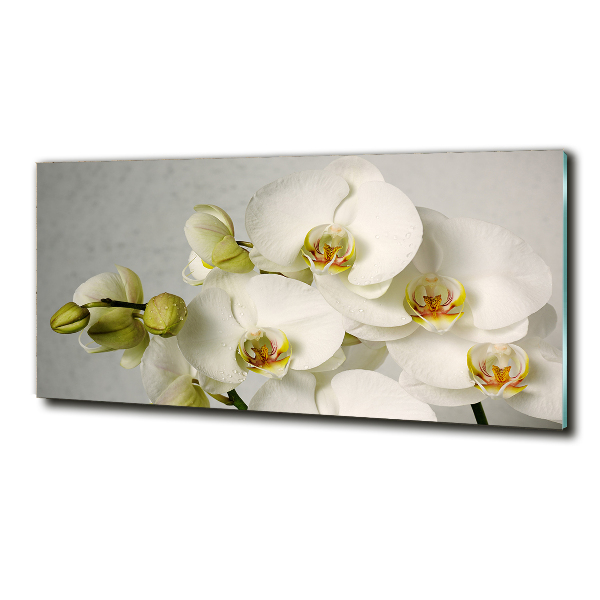 Cuadro decorativo de vidrio para salón horizontal Orquídea blanca