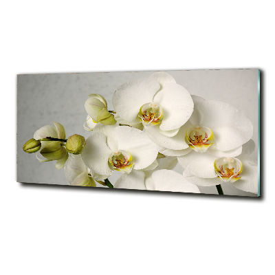 Cuadro decorativo de vidrio para salón horizontal Orquídea blanca