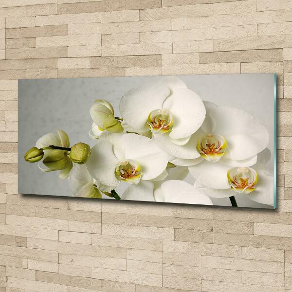 Cuadro decorativo de vidrio para salón horizontal Orquídea blanca