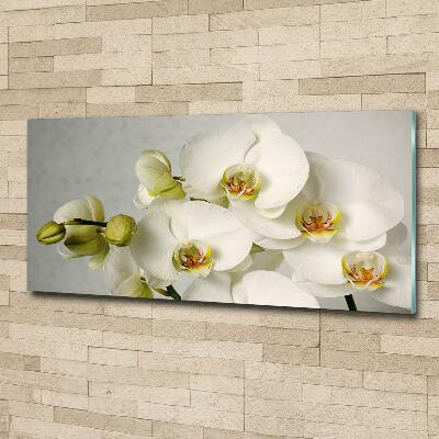 Cuadro decorativo de vidrio para salón horizontal Orquídea blanca