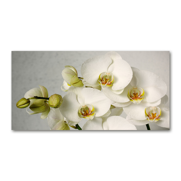Cuadro decorativo de vidrio para salón horizontal Orquídea blanca