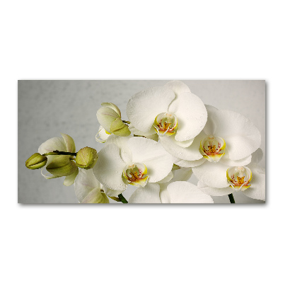 Cuadro decorativo de vidrio para salón horizontal Orquídea blanca