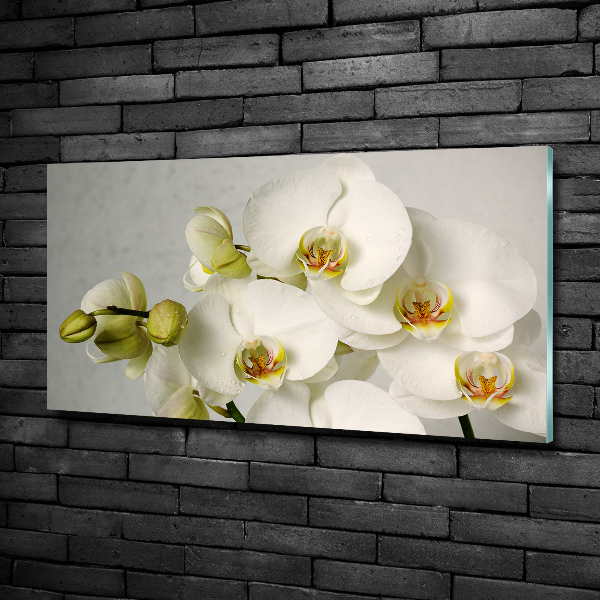 Cuadro decorativo de vidrio para salón horizontal Orquídea blanca