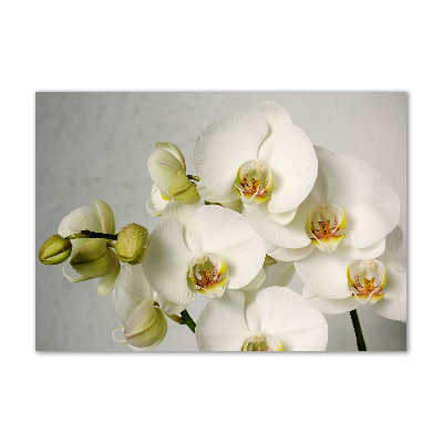 Cuadro decorativo de vidrio para salón horizontal Orquídea blanca