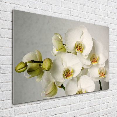 Cuadro decorativo de vidrio para salón horizontal Orquídea blanca