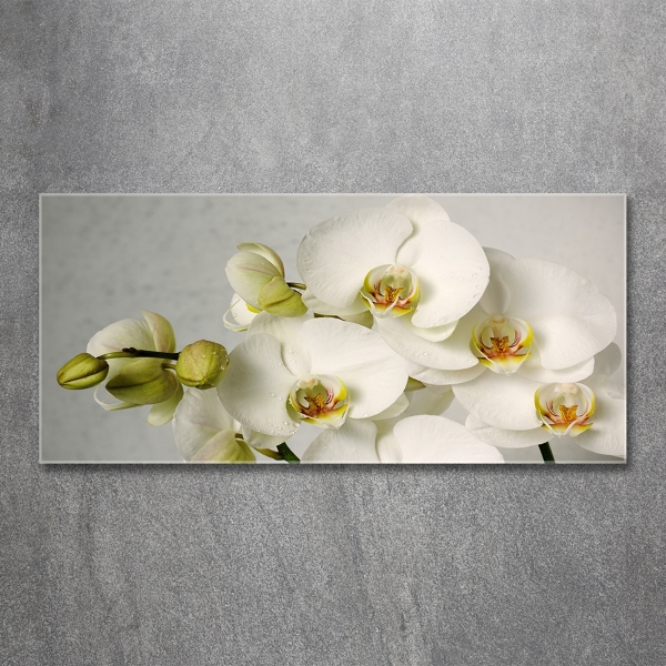Cuadro decorativo de vidrio para salón horizontal Orquídea blanca